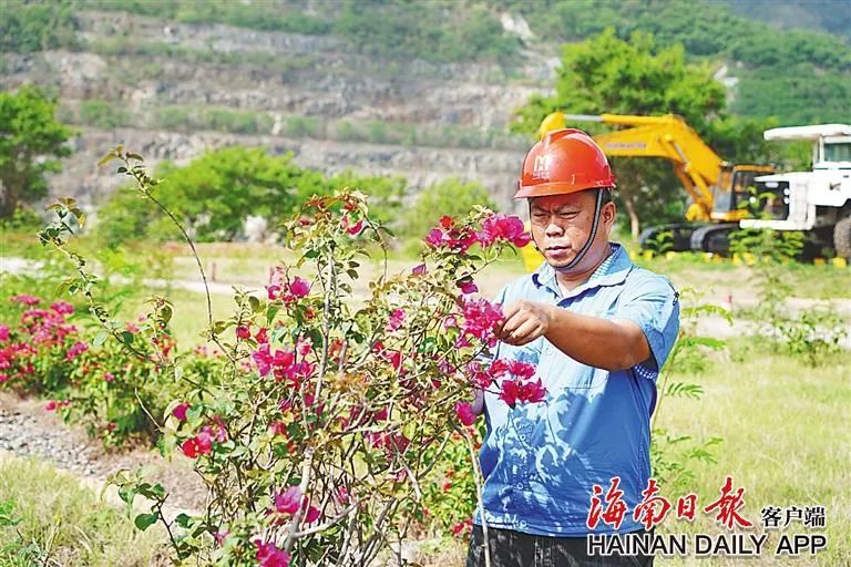 1717063485972696.jpg 海南這座礦山,為何這么綠?4.jpg